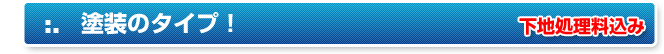塗装のタイプ 下地処理料込み